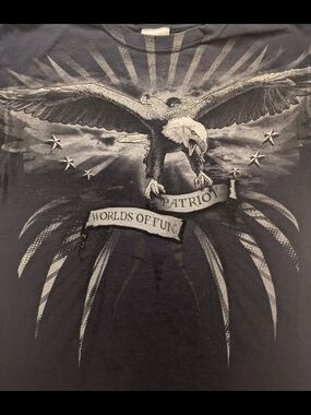 Men's Black Eagle Graphic T-Shirt